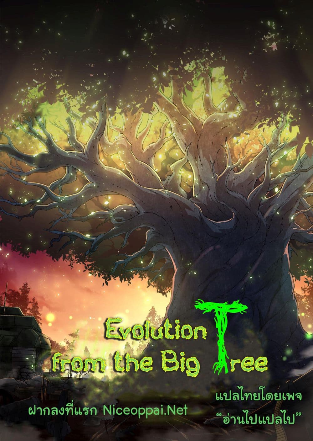 Evolution from the Big Tree Ã Â¸â€¢Ã Â¸Â­Ã Â¸â„¢Ã Â¸â€”Ã Â¸ÂµÃ Â¹Ë† 29 (45)